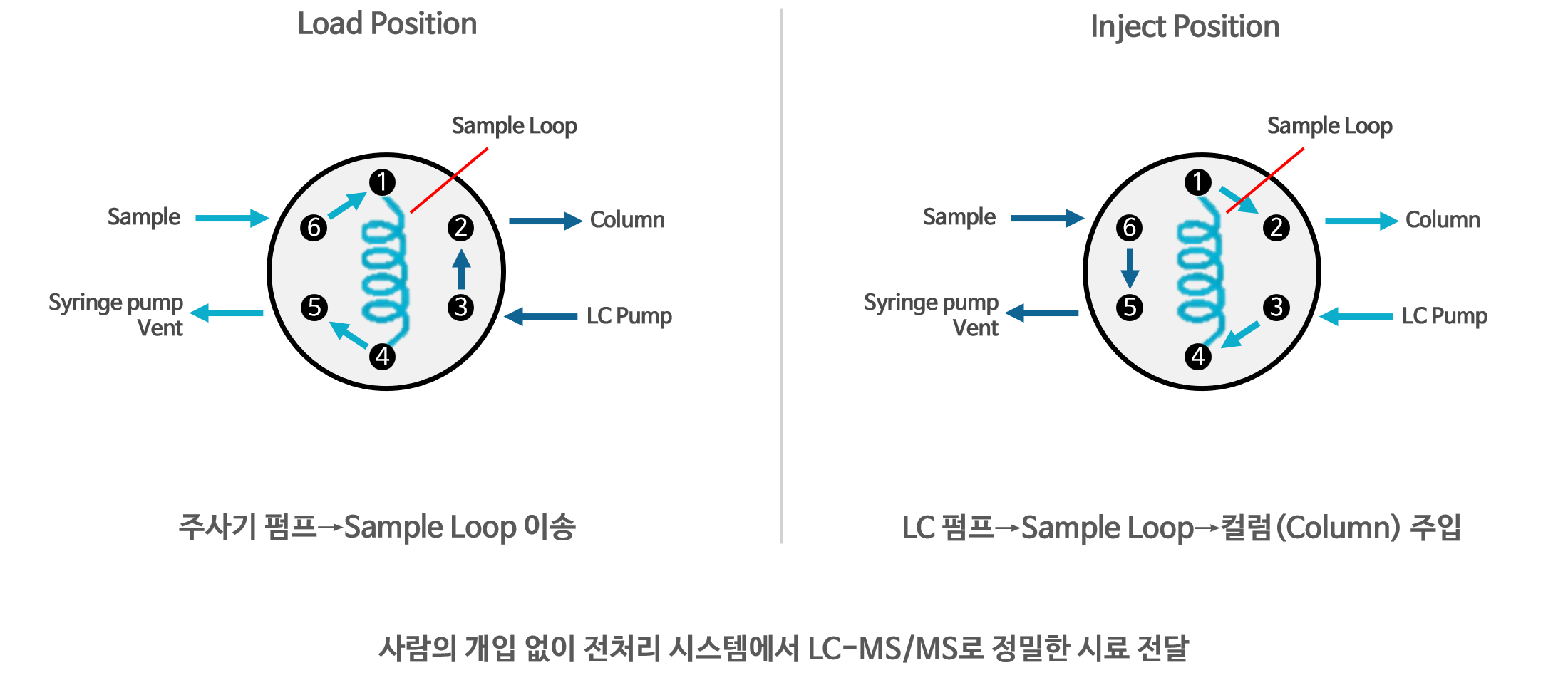 profileprint 상세 설명